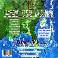 James L. Snelgrove / Jimmy Sixstring : Feed the Flock!
