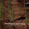 JOEL AND NAOMI STAMOOLIS: New Each Morning