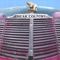 Joe Bear : Bear Country