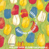 JOE BOURNE: Dancing Around The Flowers