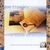 JOE FRAWLEY: A book of dreams