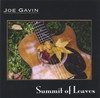 JOE GAVIN: Summit of Leaves