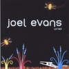 JOEL EVANS: Wired