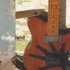 JOEL HAMILTON: Guitarland