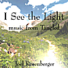 JOEL ROSENBERGER: I See the Light (from Tangled)