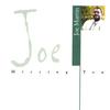 JOE MARTIN: Missing You