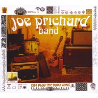Joe Prichard : Just Play the Damn Song