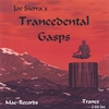 JOE SIERRA: TranceDental Gasps