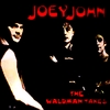 JOEYJOHN: The Waldman Takes