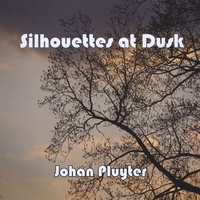 Johan Pluyter : Silhouettes at Dusk