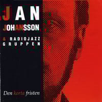 Den korta fristen Cover of Den korta fristen