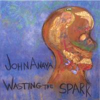 John Anaya : Wasting the Spark