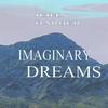 JOHN BARBER: Imaginary Dreams