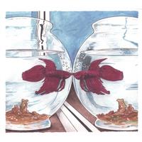 John B Kerr : Kissing Fish