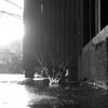 JOHN PROSSER: Rain