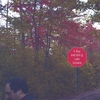 JOHN TABACCO: It Wuz And Still Iz Late Octobra