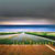 JOHN TOWNSEND: The Road Leads Home