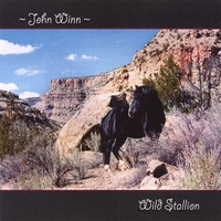 John Winn : Wild Stallion