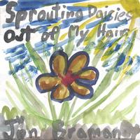 Jon Braman : Sprouting Daisies Out of My Hair