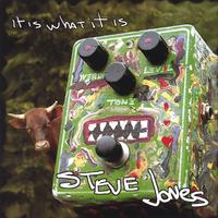 Steve Jones : It Is What It Is And It Does What It Does