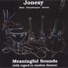 JONESY: Meaningful Sounds (with regard to random themes)