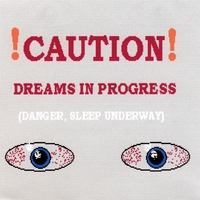 José Diaz : Caution, Dreams in Progress