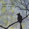 Joseph Strider: Little Bird