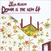Josh Kaplan : Down is the new Up.
