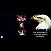 John Rabbit Bundrick: The Wind Cried - The Official Mix
