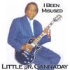 LITTLE JR. CANNADAY: I Been Misused