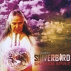 J. REUBEN SILVERBIRD: Shaman Spirit