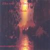 J.R.RAPTILE: Electric Reflections