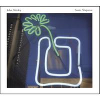 John Shirley : Sonic Ninjutsu