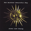 Jubal Lee Young: Not Another Beautiful Day