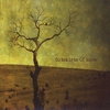 Jude Davison: Outskirts of Eden