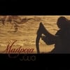 JULIA: Mariposa