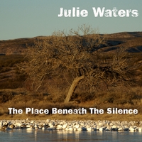 Julie Waters : The Place Beneath the Silence