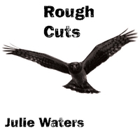 Julie Waters : Rough Cuts