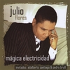JULIO FLORES: Magica Electricidad