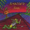 JUNKYARD JANE: Washboard Highway