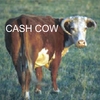 JW: Save Energy - Save Cash