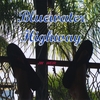 J.W. WEIR: Bluewater Highway