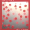 KABUSACKI: Kabusacki 7&8: The Flower and The Radio
