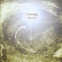 Incense & Ambiguity lyrics Kaddisfly