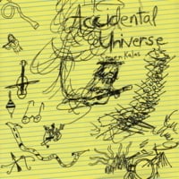 Steven Kalas : Accidental Universe