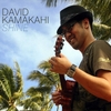 DAVID KAMAKAHI: Shine
