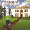 DAVID KAMENIR: Pun Addict