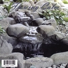 RACHEL KAMPS: Flowing Calm