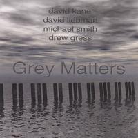 DAVID KANE, DAVID LIEBMAN ET AL: Grey Matters