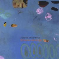 EYVIND KANG / TUCKER MARTINE: Orchestra Dim Bridges